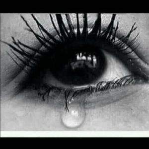 Meet your Posher, Gerges